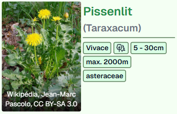 En apprendre plus sur les plantes comestibles